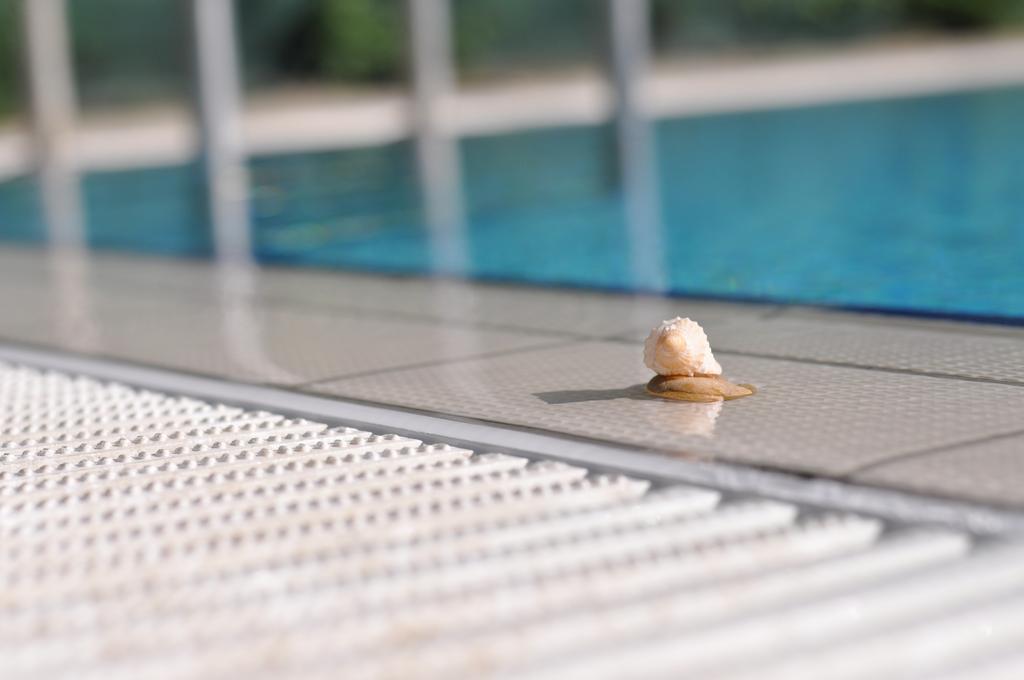 Aqua Wellness Apartments Hajdúszoboszló Camera foto